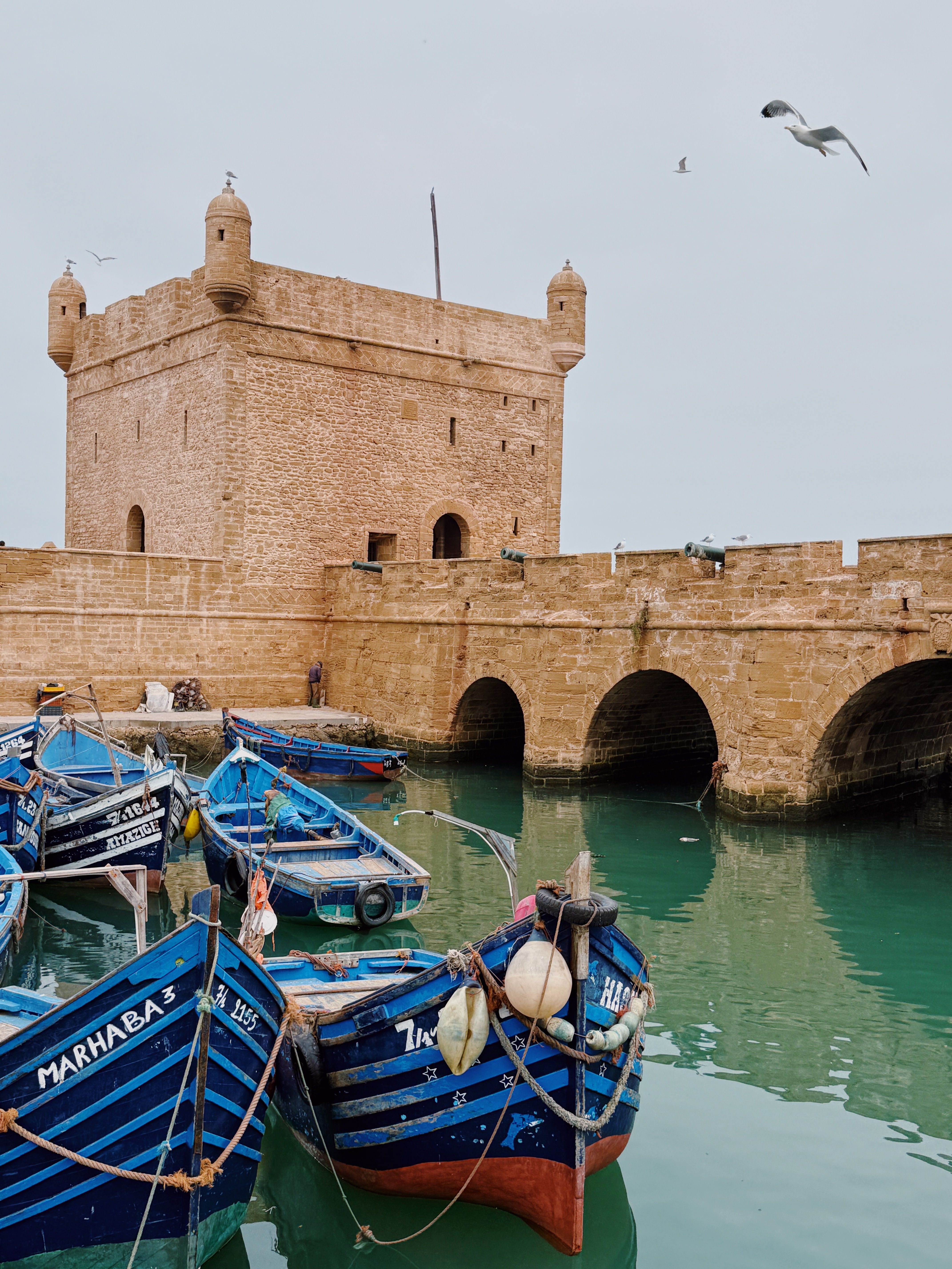 Vue panoramique des remparts d'Essaouira et de l'océan Atlantique