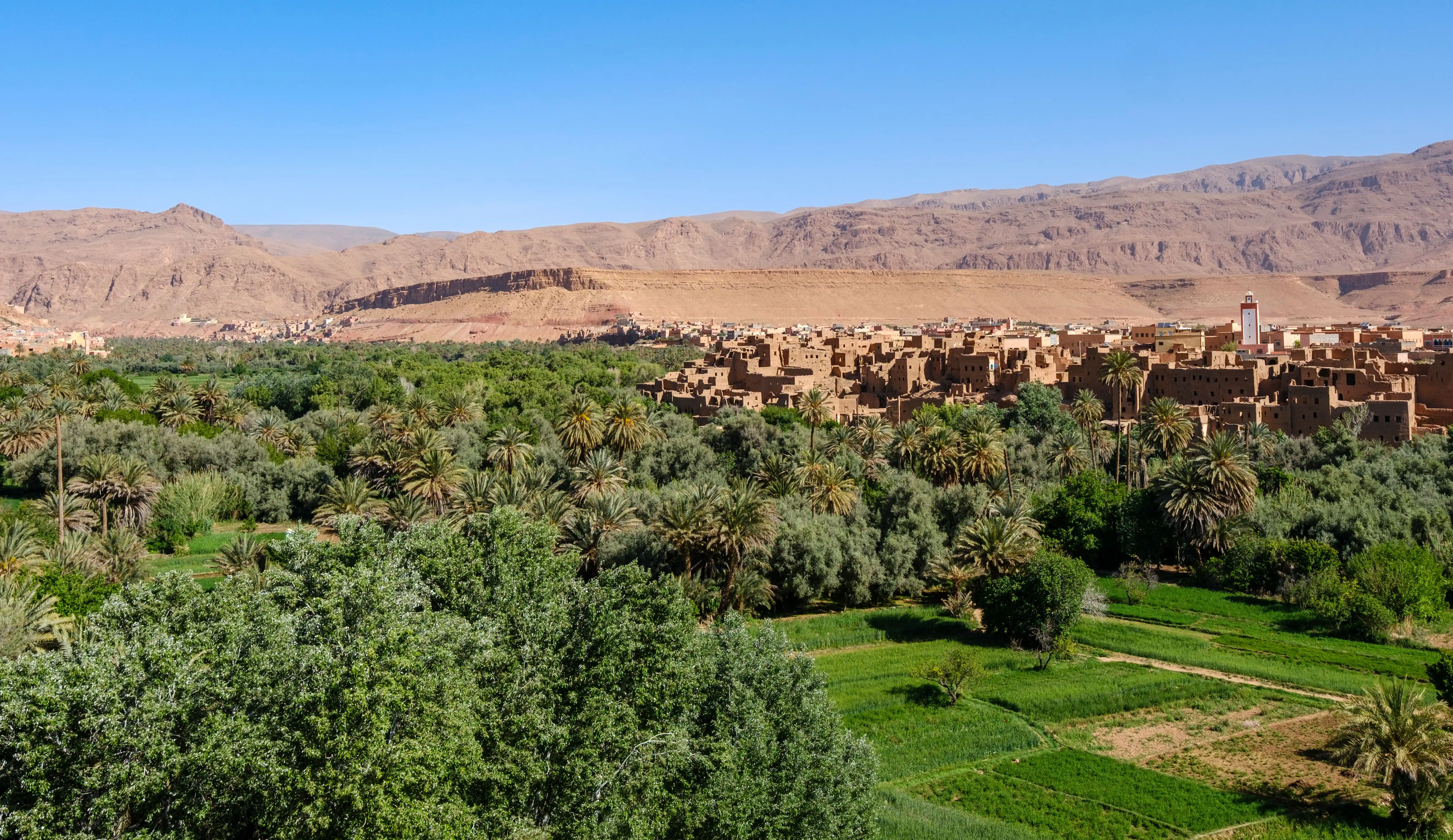 Vue panoramique sur la palmeraie verdoyante de Tinghir et son village traditionnel en pisé devant les montagnes du Haut Atlas.