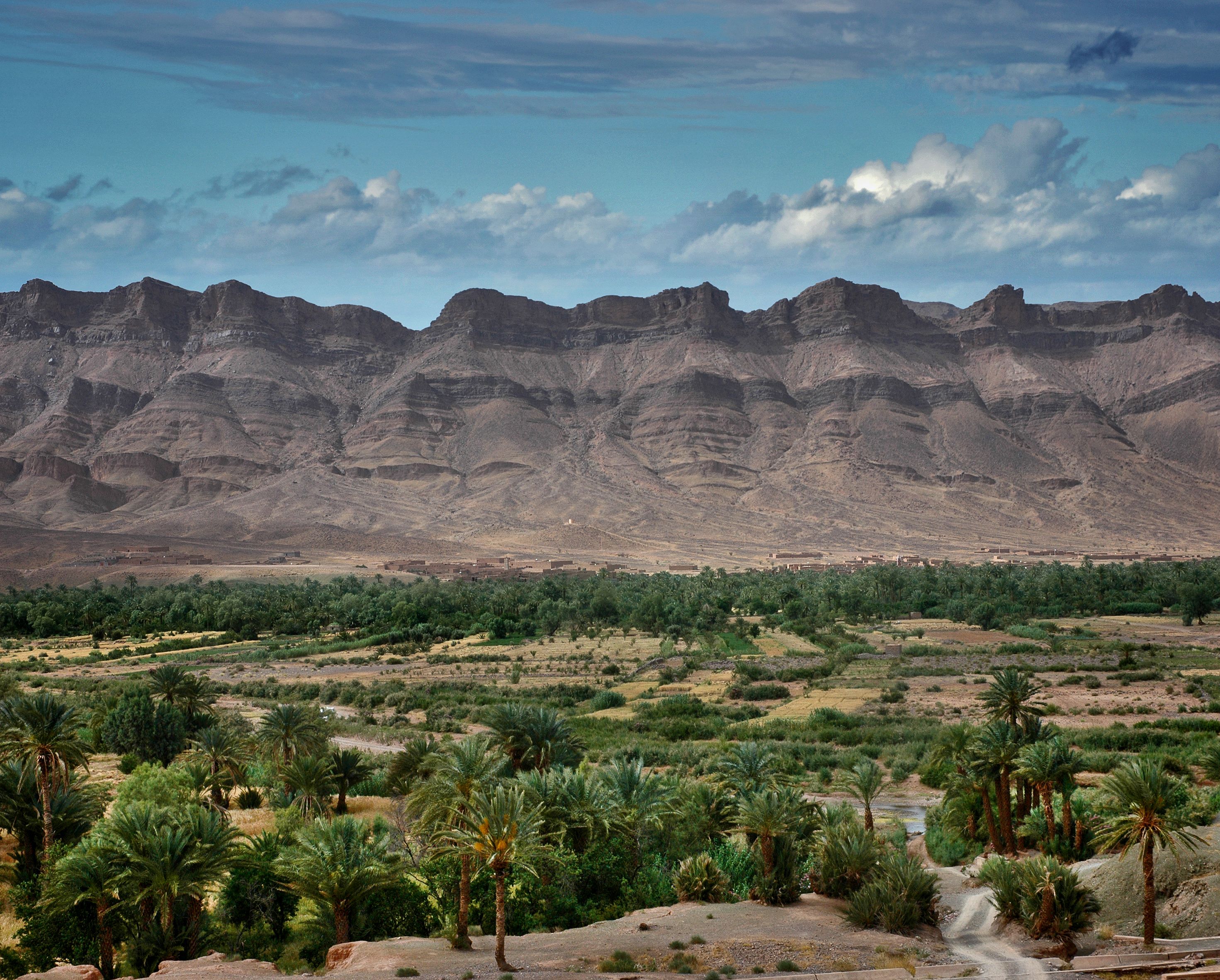 Vue panoramique de la vallée du Draâ à Zagora avec une palmeraie verdoyante et une chaîne de montagnes rocheuses sous un ciel nuageux.