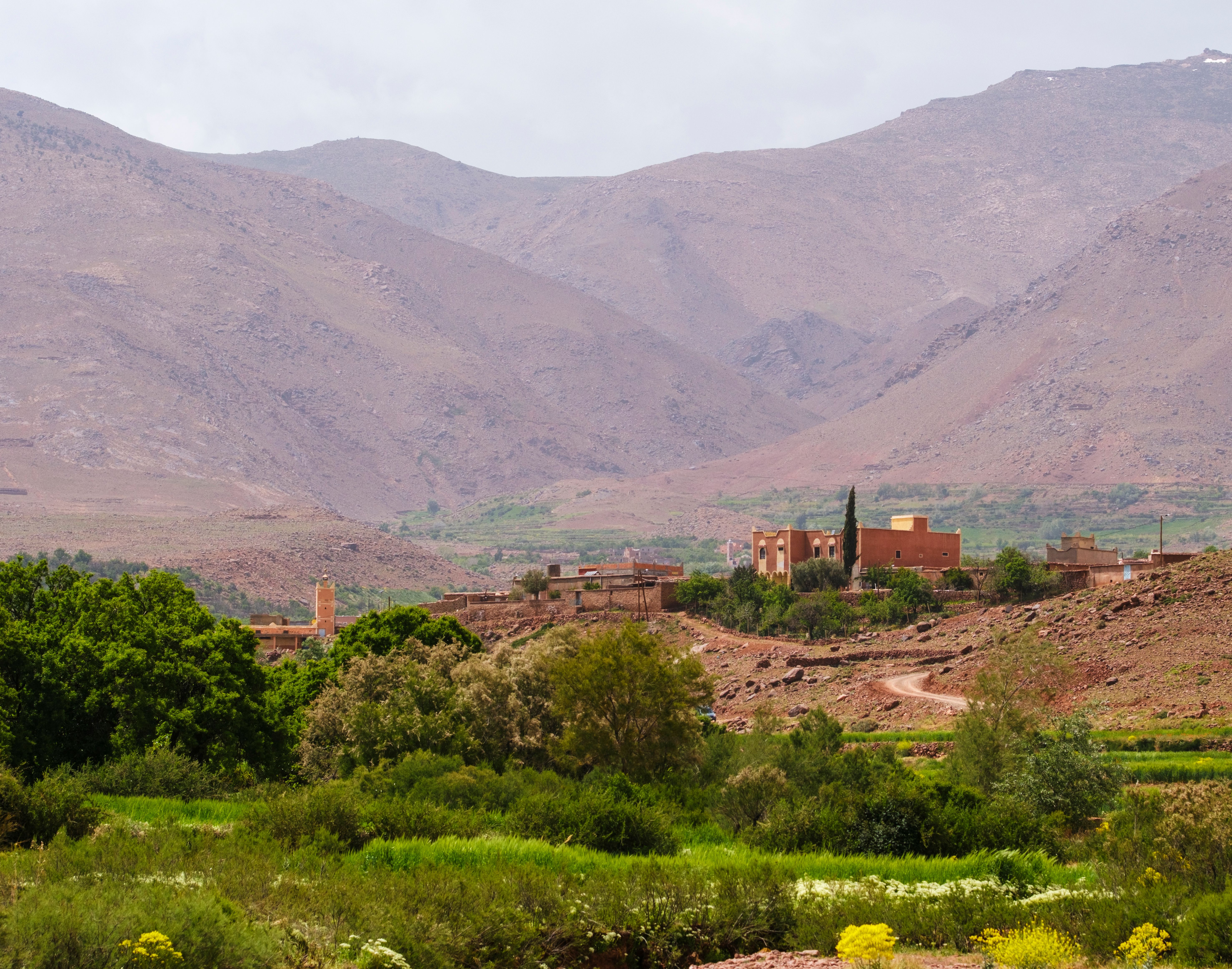Paysage pittoresque de la Vallée des Roses au Maroc, montrant un village traditionnel aux tons ocre niché au milieu d'une végétation verdoyante avec les montagnes de l'Atlas en arrière-plan.